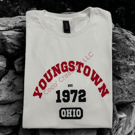 Youngstown Ohio est. Year